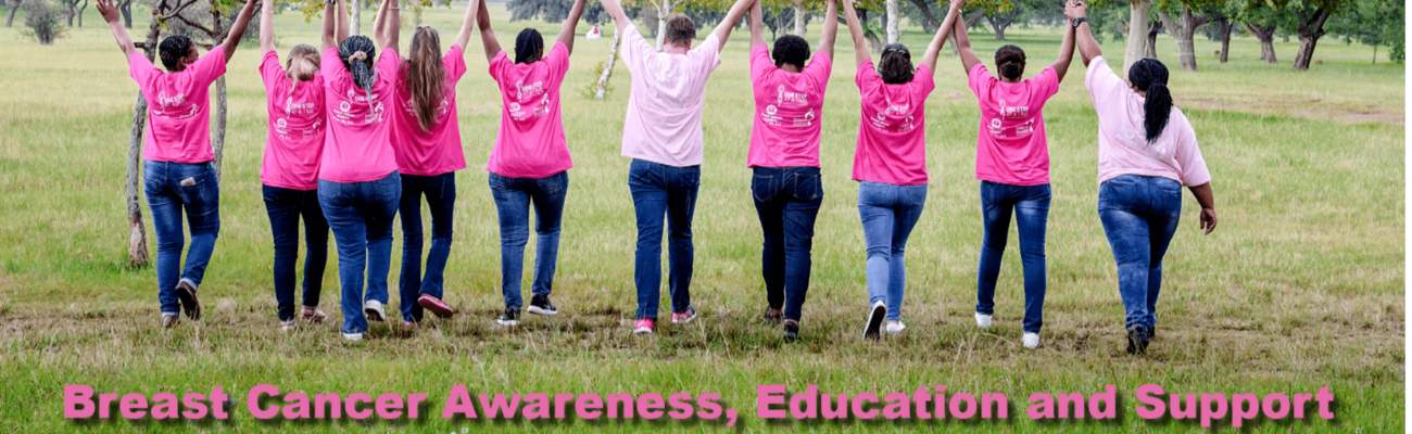 Breast Health Foundation logo